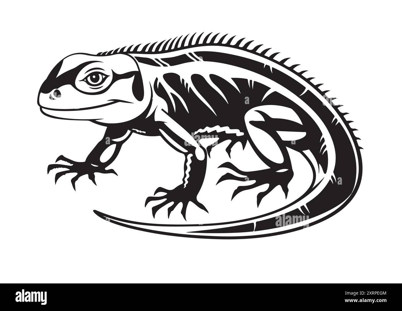 lucertola su sfondo bianco isolato. Animale di schizzo vettoriale dall'Australia. Il design retrò caratterizza la fauna selvatica in stile incisivo. Illustrazione Vettoriale
