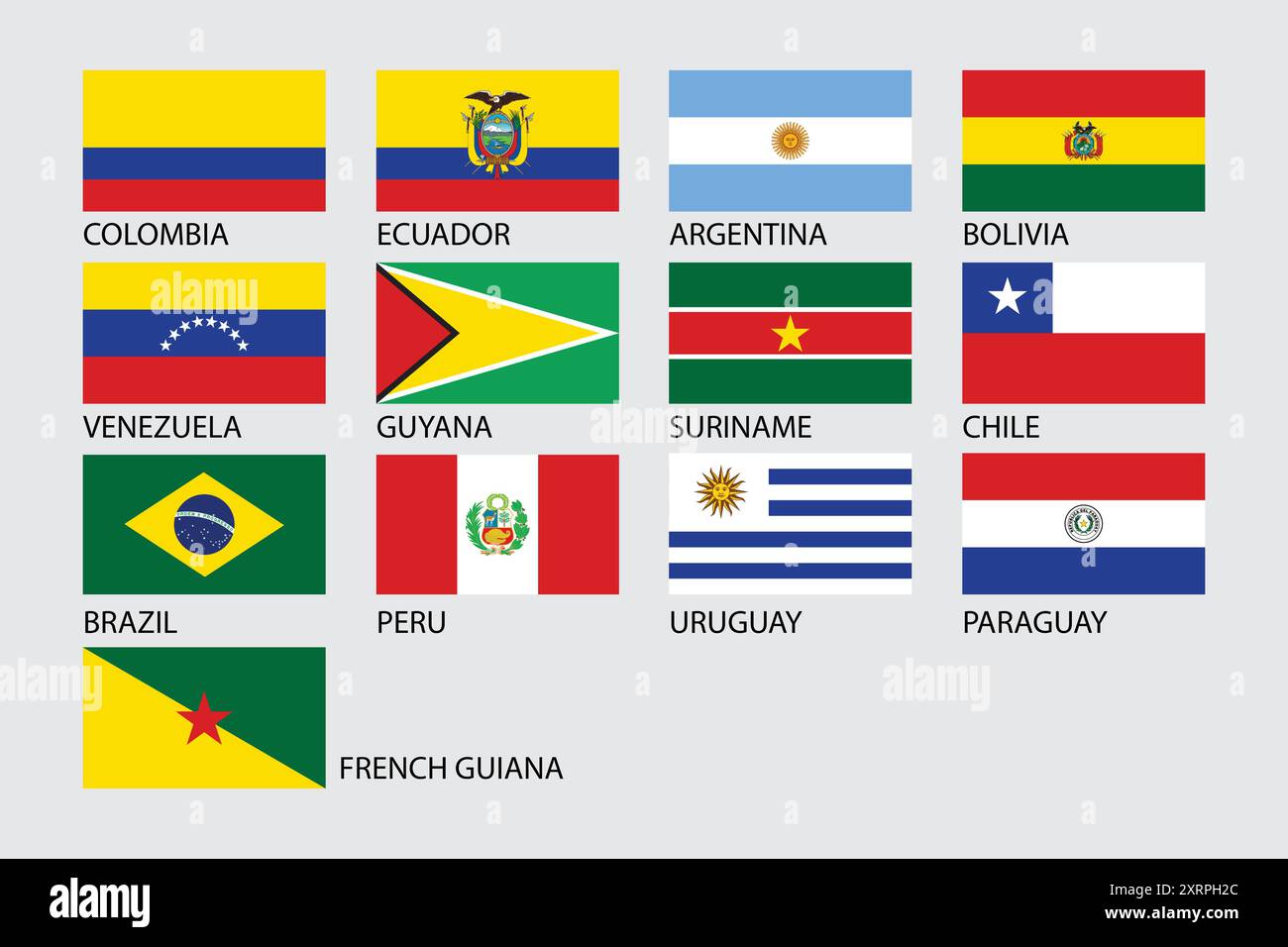 Vettore di bandiera del paese del Sud America Illustrazione Vettoriale
