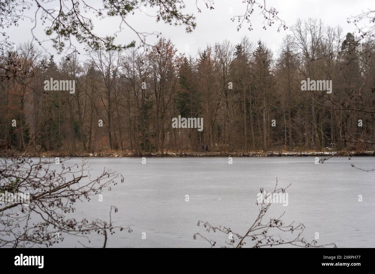 Parco Bärenschlössle a Stoccarda, Baden-Württemberg, Germania Baden-Württemberg, durante l'inverno Foto Stock