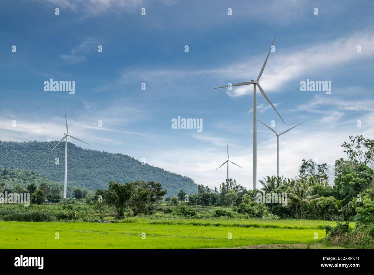le turbine eoliche si stagliano in alto nel paesaggio rurale per generare elettricità, soluzioni energetiche sostenibili e concetto di energia verde Foto Stock