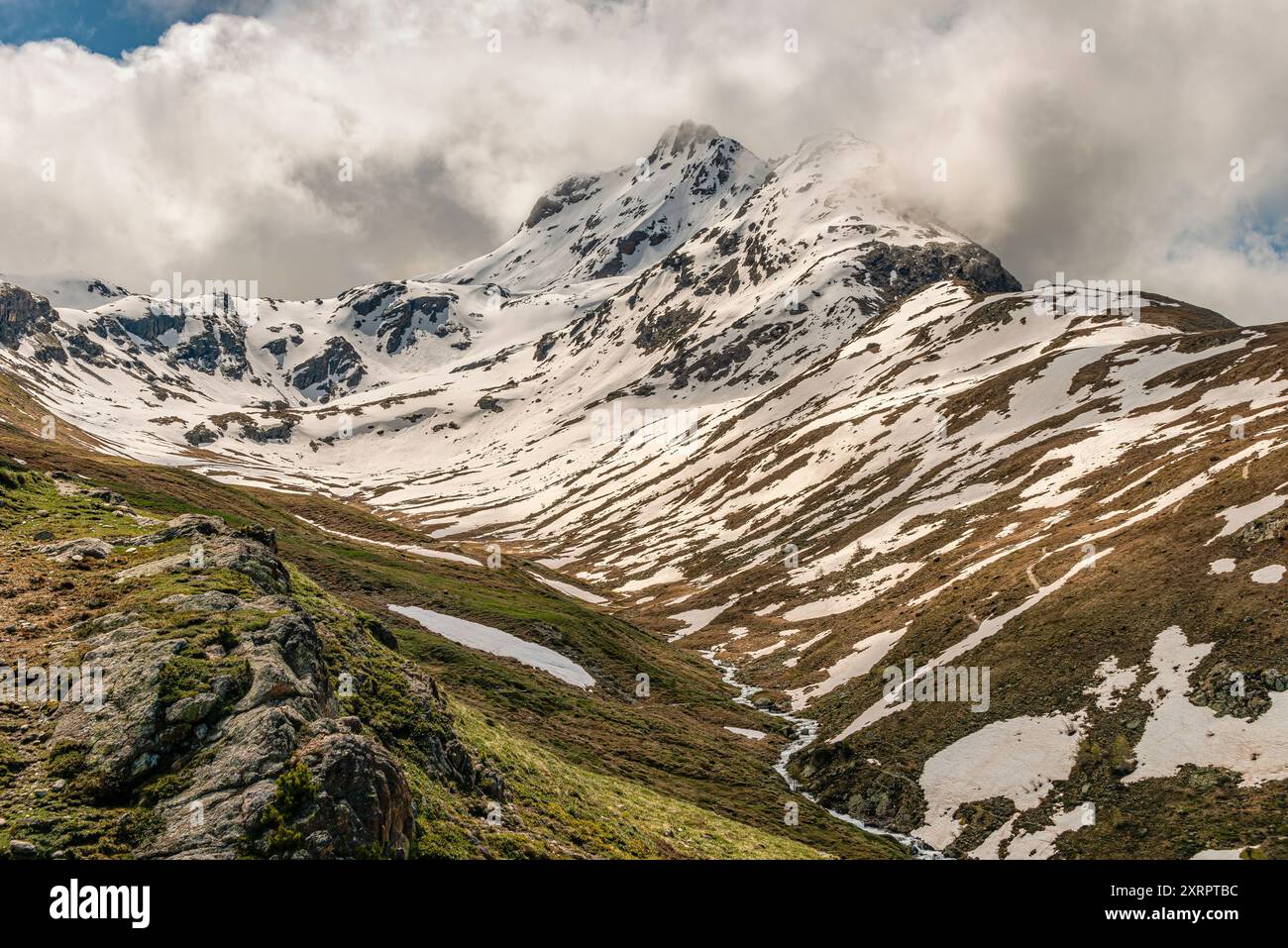 Paesaggio montano con vista sul Piz Languard in estate, Pontresina, Engadina, Svizzera Foto Stock