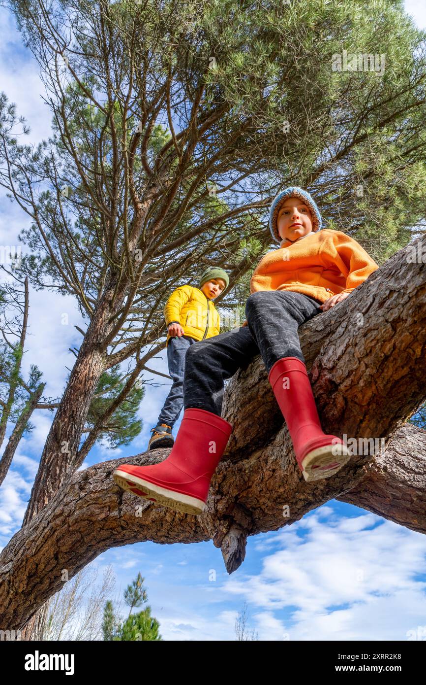 Bambini che giocano sul tronco di un albero in una giornata fredda in natura. Stile di vita sano. Gioca nella natura Foto Stock