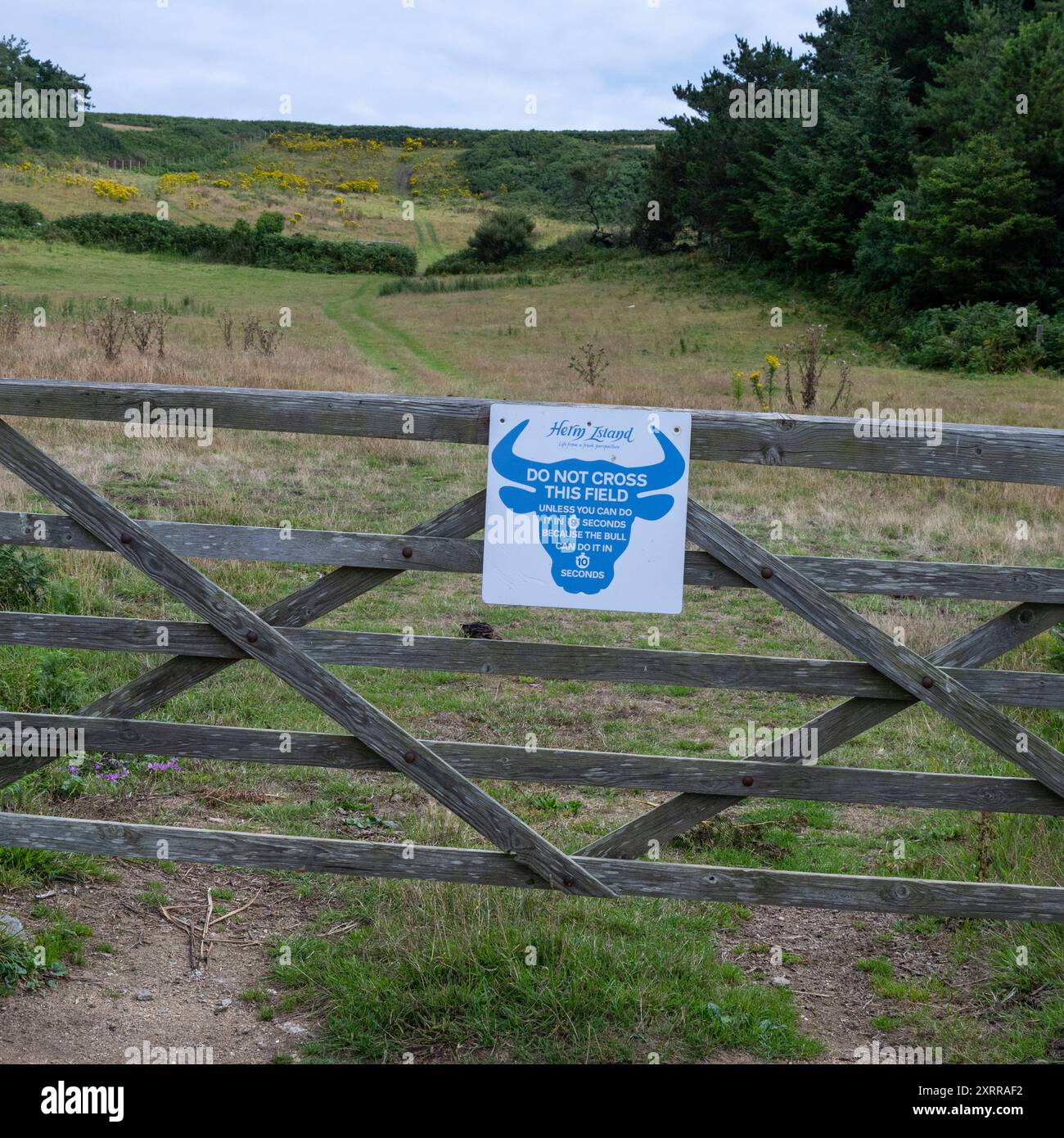 Non attraversare questo campo a meno che non sia possibile farlo in 9 secondi perché il Bull può farlo in 10 secondi - Sign on Herm Island, Channel Islands, UK. Foto Stock