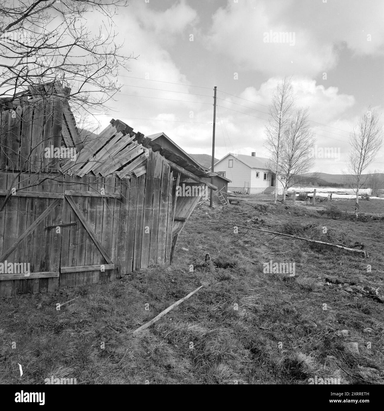 Corrente 22-5-1968 : la molla si scongela tra i banchi di ghiaccio. L'alluvione di ghiaccio a Trysilelva ha lasciato il segno, e neve e ghiaccio si trovano ancora oltre il terreno migliore del comune. Ma l'aratro passa ancora attraverso il ghiaccio. Kristina Kvernmo fu una di quelle colpite dall'alluvione di ghiaccio che strappò la base alimentare a diversi piccoli agricoltori tra Innbygda e Jordet a Trysil. Questa è la situazione attuale: Il ghiaccio è spesso nel fienile e negli annessi, l'acqua ha distrutto le pareti e distrutto oggetti. La fattoria aveva l'acqua nel seminterrato, ma fortunatamente non si è congelata. I pavimenti devono essere rotti. Foto: Sverre A. Foto Stock