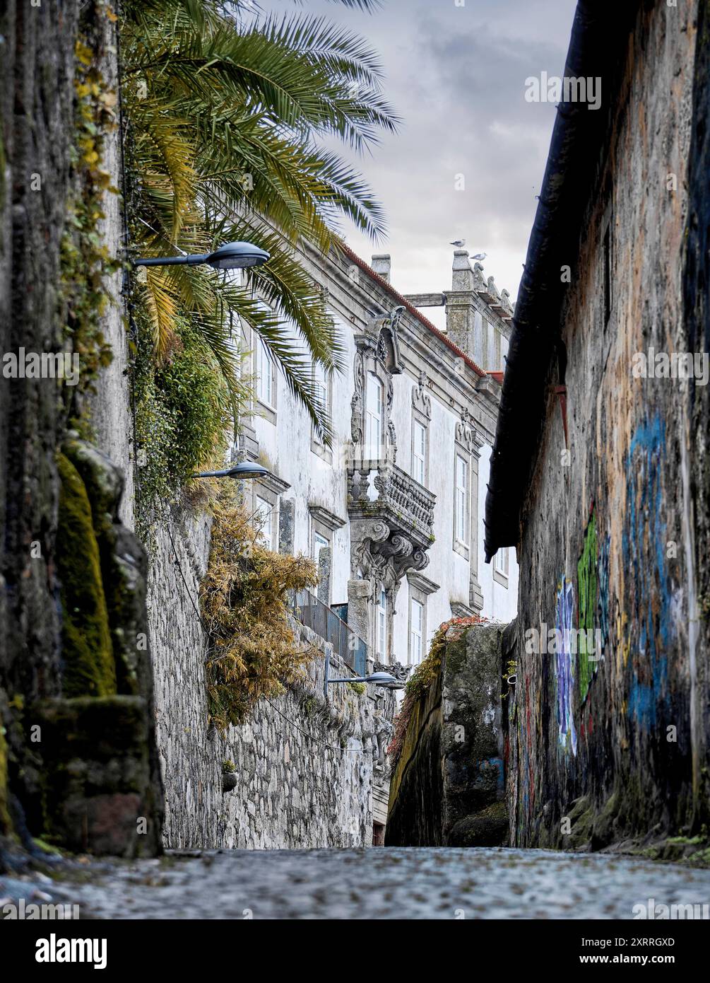 DAS eemals jüdische Viertel Sao Pedro de Miragaia der Stadt Porto mit ursprünglichen und malerischen Gassen und Hausfassaden Impressionen Porto *** l'ex quartiere ebraico di Sao Pedro de Miragaia nella città di Porto con i suoi vicoli originali e pittoreschi e le facciate delle case Impression of Porto Foto Stock