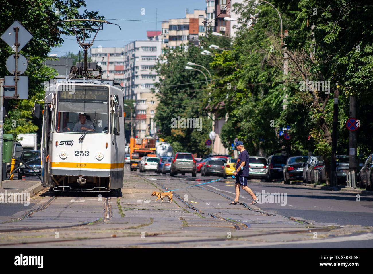 Bucarest, Romania - 07 agosto 2021: Un vecchio tram per le strade di Bucarest. Trasporti pubblici. Foto Stock