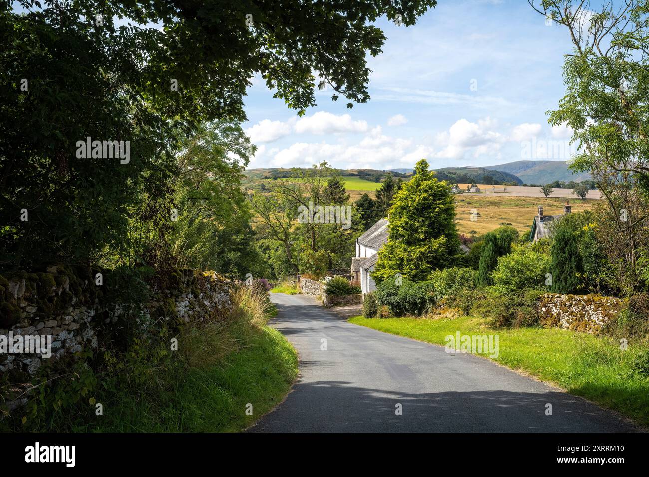 La strada alberata di Rosgill nella Lowther Valley, Westmorland & Furness, Cumbria, Regno Unito Foto Stock