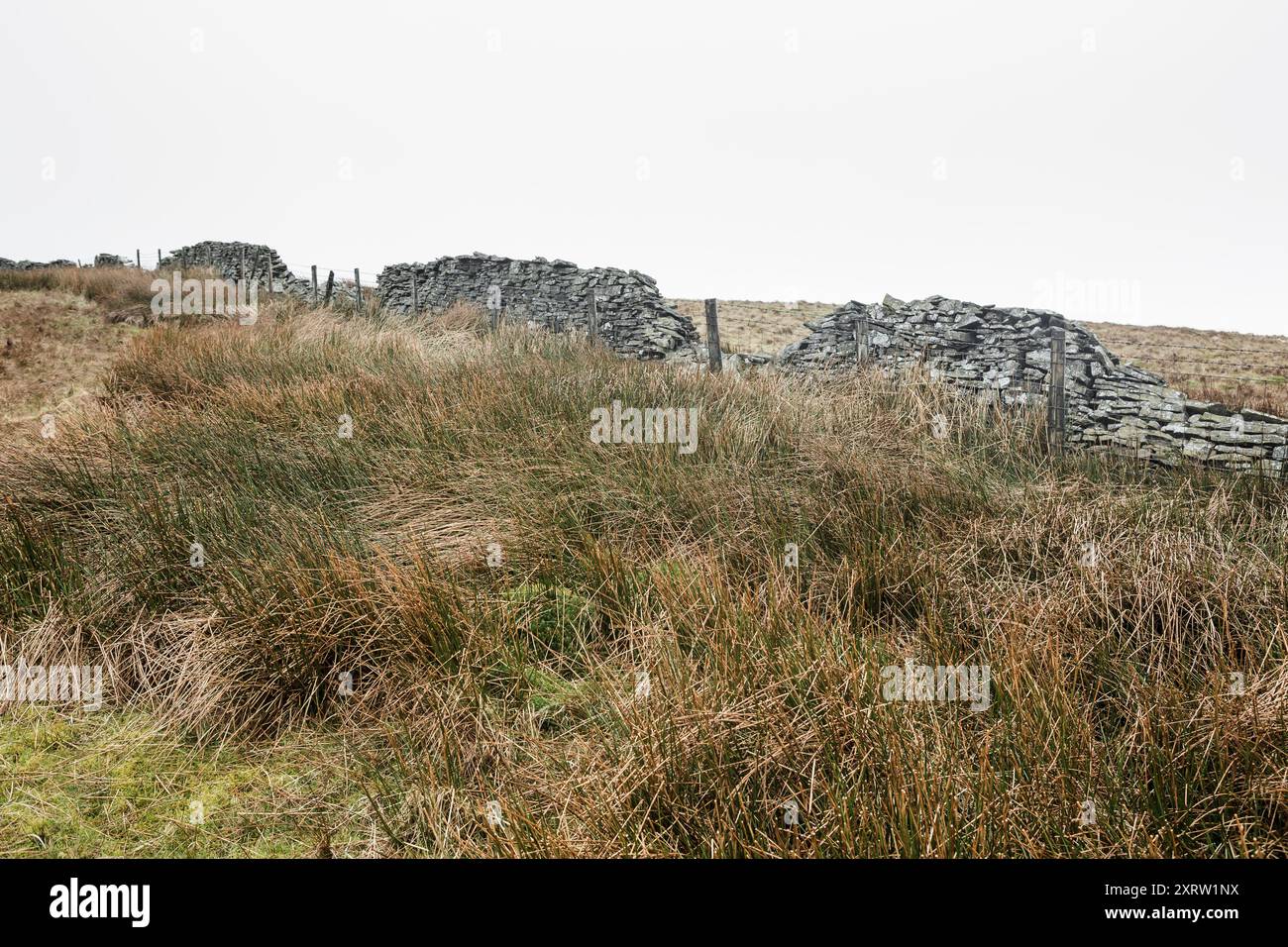 Una piccola pozza d'acqua si è formata in un terreno paludoso sulla cima di una desolata collina spazzata dal vento in Galles, Regno Unito. Foto Stock