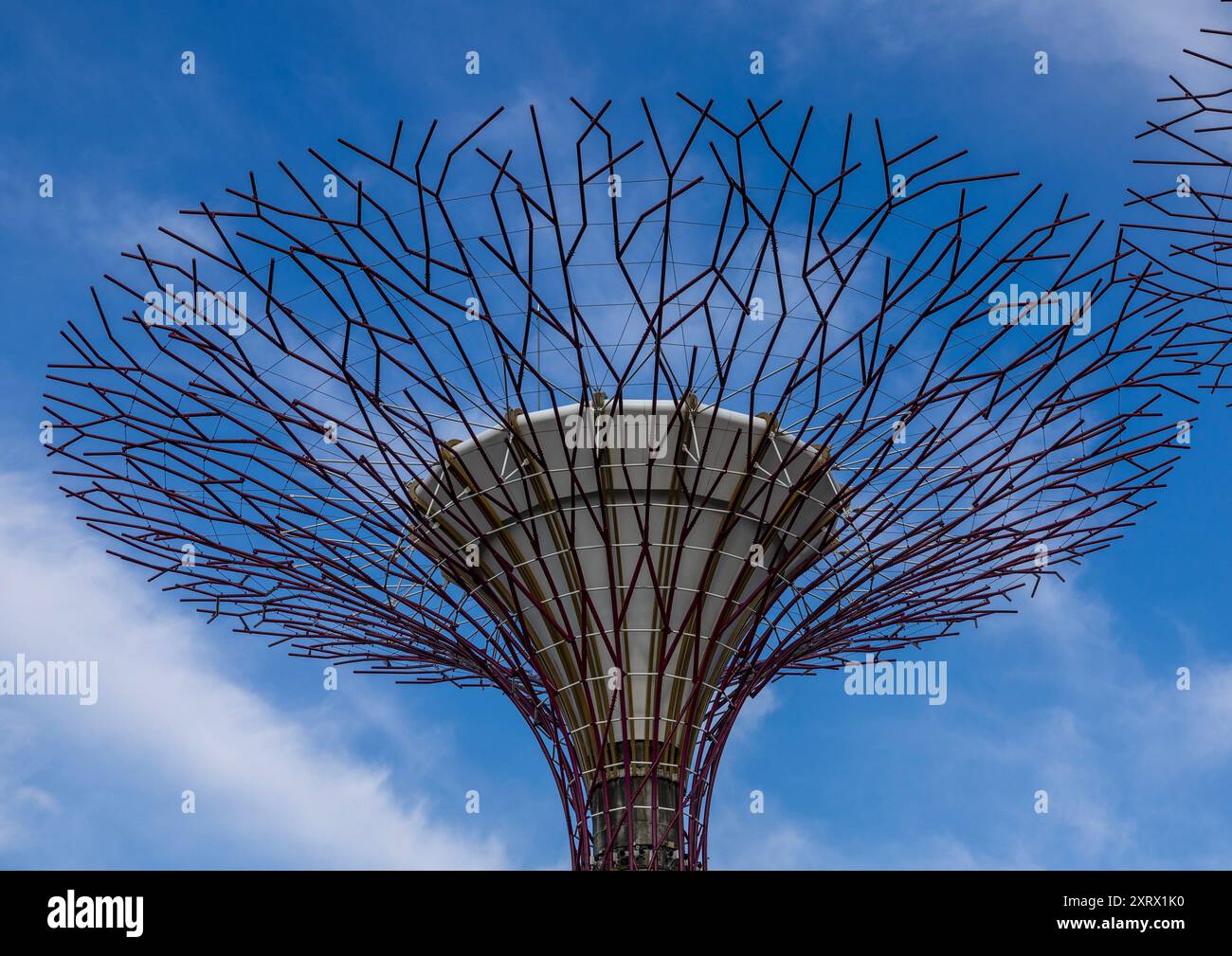 Supertrees at Gardens by the Bay, Central Region, Singapore, Singapore Foto Stock