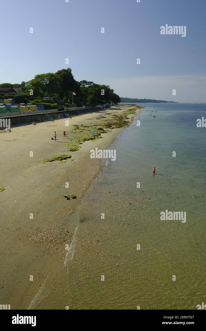 La spiaggia di Osbourne Bay sull'isola di Wight, Regno Unito Foto Stock
