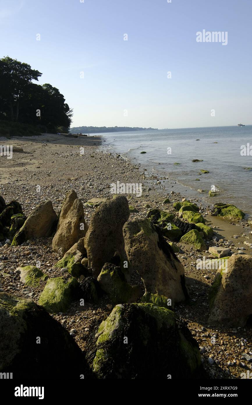 La spiaggia di Osbourne Bay sull'isola di Wight, Regno Unito Foto Stock