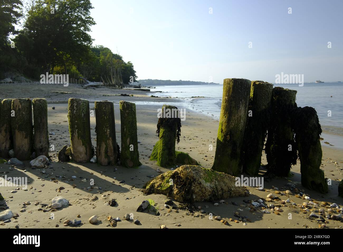 La spiaggia di Osbourne Bay sull'isola di Wight, Regno Unito Foto Stock
