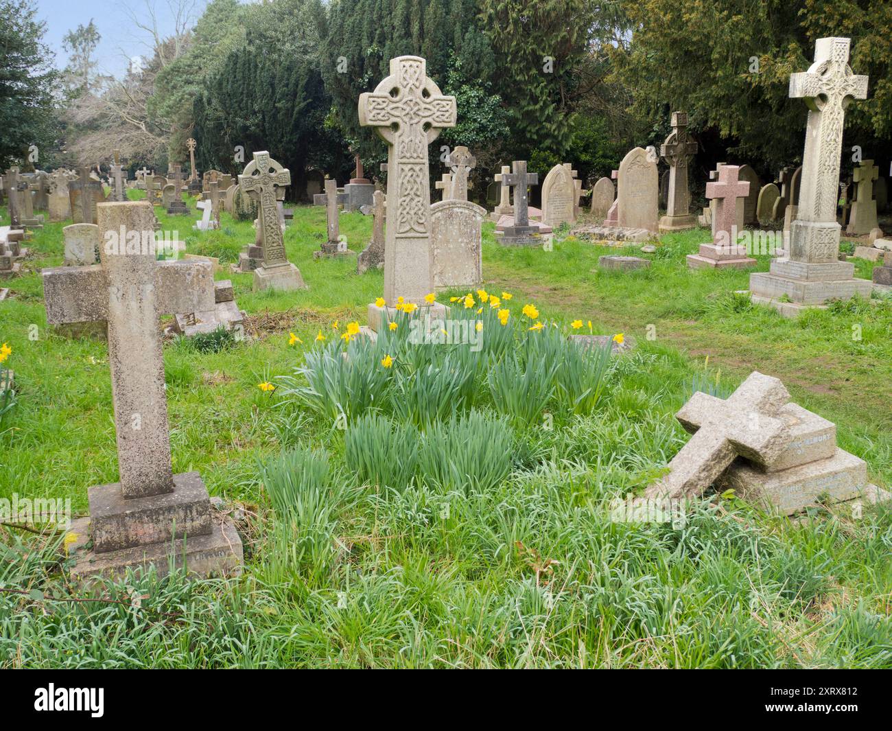 Holywell Cemetery si trova vicino a St Cross Church nel centro di Oxford. E' piuttosto ben nascosto; si potrebbe passarci centinaia di volte e non avvistare mai l'ingresso discreto di Long Wall Street. Dovrei saperlo, e' esattamente quello che ho fatto! Ma, quando l'ho scoperto e sono entrato, ho trovato un posto di bellezza e tranquillità nel cuore della trafficata Oxford. Foto Stock