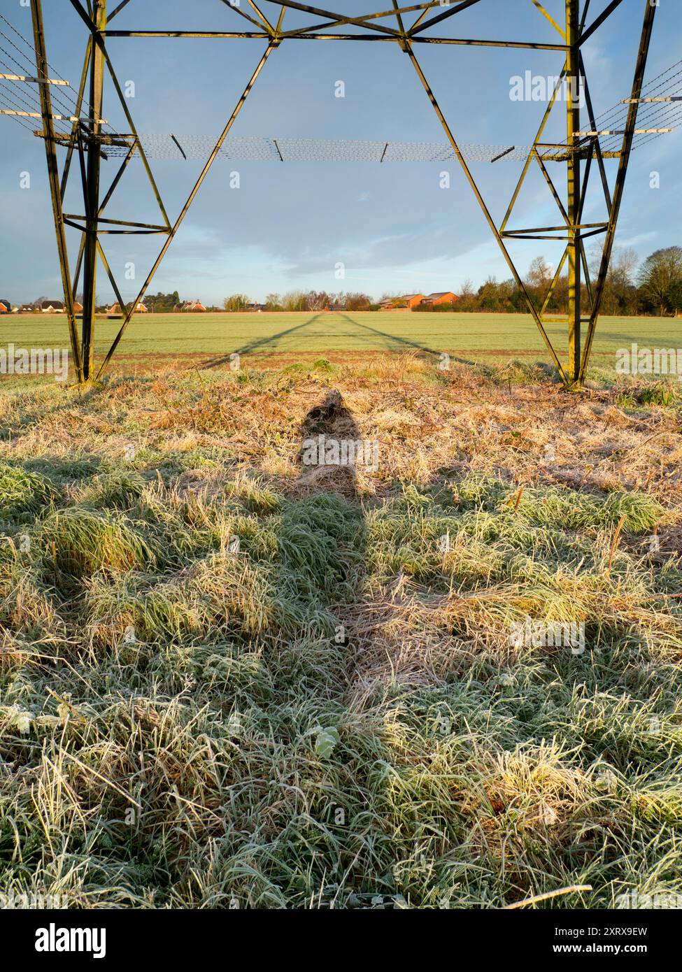 Amo i piloni elettrici; trovo le loro forme astratte, gaunt infinitamente affascinanti. Qui ne vediamo uno nei campi del Lower Radley, con la mia ombra allungata gettata da un sole che sorge d'inverno. Foto Stock