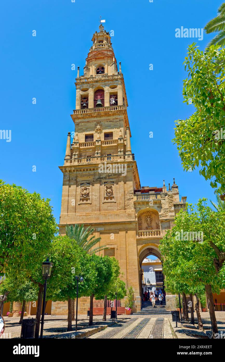 Storico campanile di la Mezquita-Catedral de Córdoba a Cordoba, provincia di Cordoba, Spagna centrale. Foto Stock