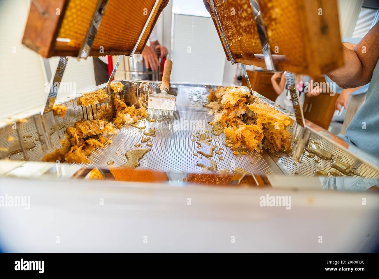 Beehive Decapping Tray pieno di Beewax vinto da Decapping the Honeycombs Foto Stock