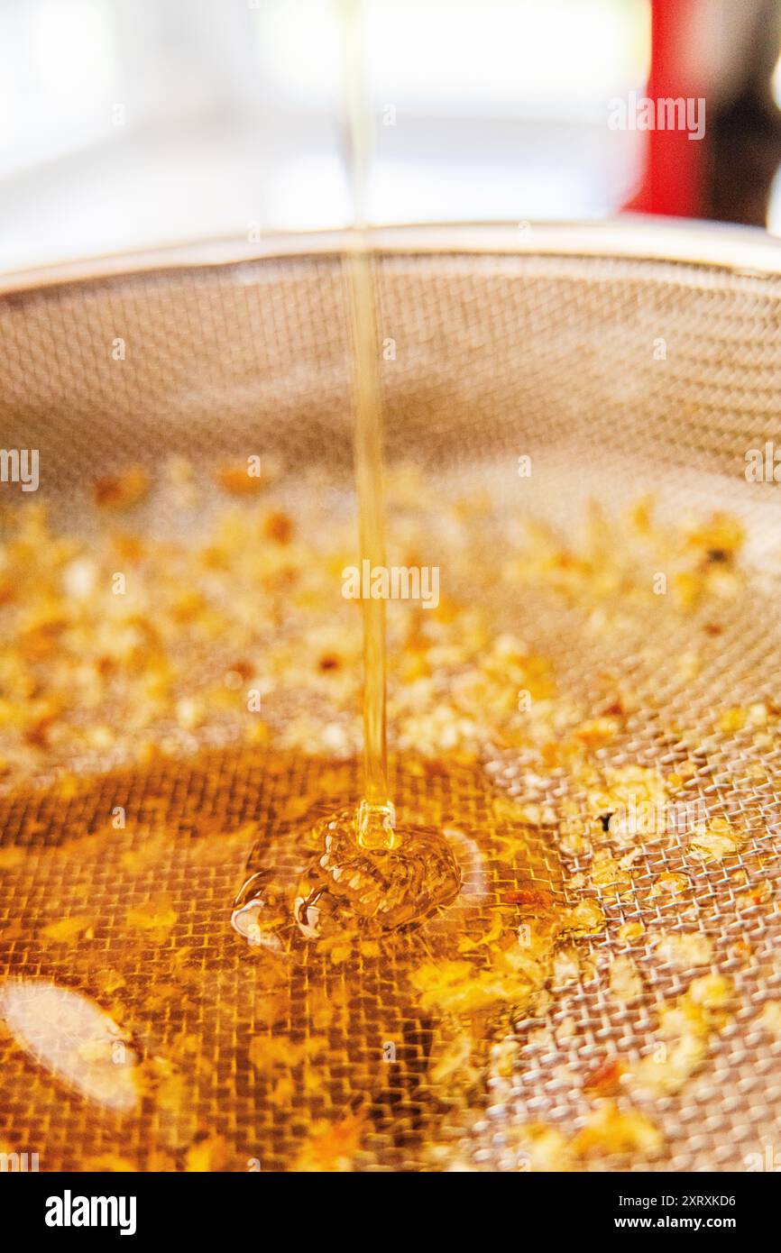 Bee Honey scende nel Sieve Mesh Extreme Close Up Foto Stock