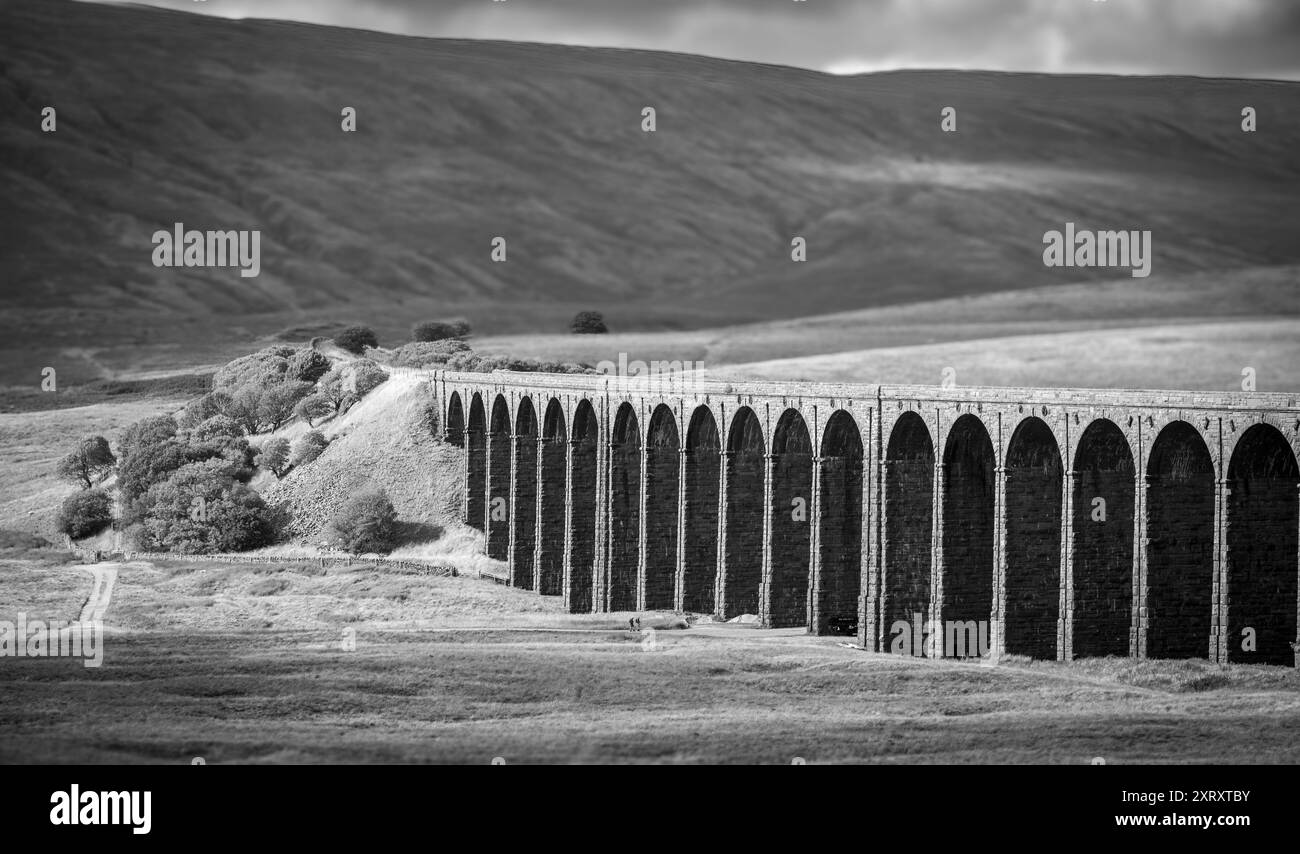 Viadotto Ribblehead sull'iconica linea ferroviaria Settle to Carlisle. B&W Foto Stock