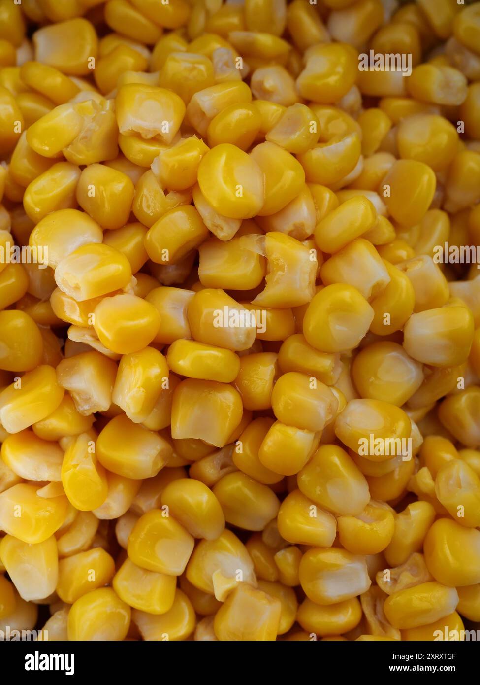 granturco giallo in scatola, perfetto per insalate, guarnigione o condimento per pizza. Fresco, di alta qualità e versatile, disponibile nei supermercati. Foto Stock