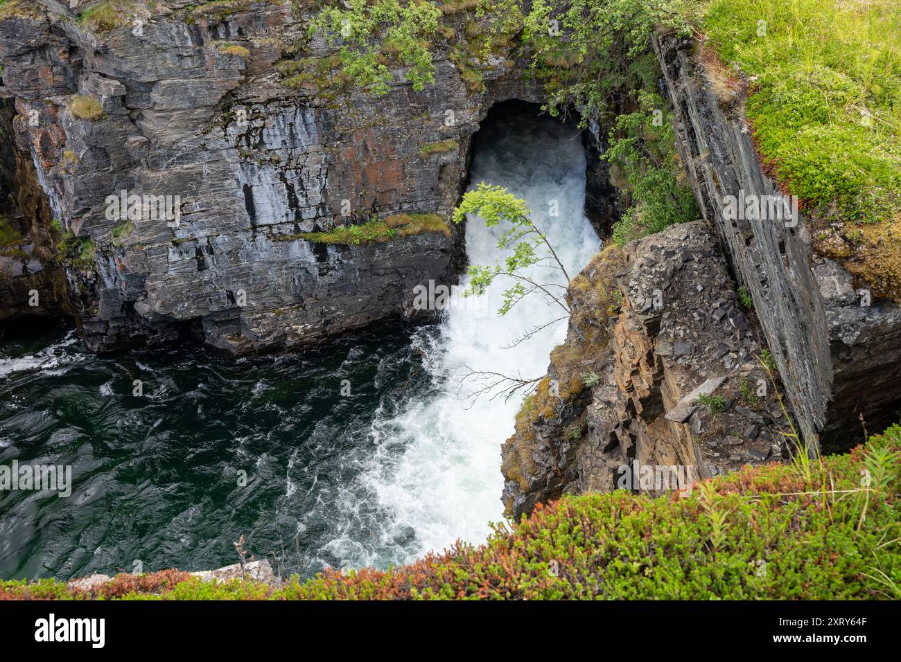 Canyon del fiume Abisko nel Parco Nazionale di Abisko, Svezia Foto Stock