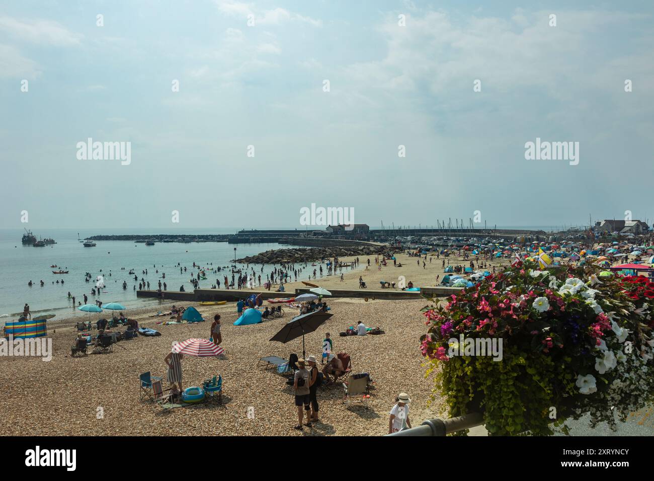 Lyme Regis,Dorset Foto Stock