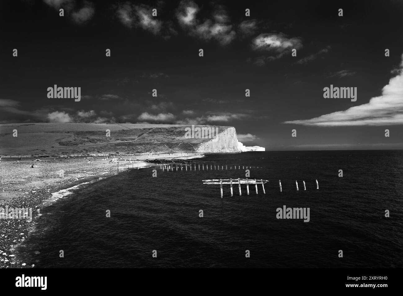 Ammira la costa con le formazioni rocciose conosciute come Seven Sisters con i fiori primaverili, nel Regno Unito Foto Stock