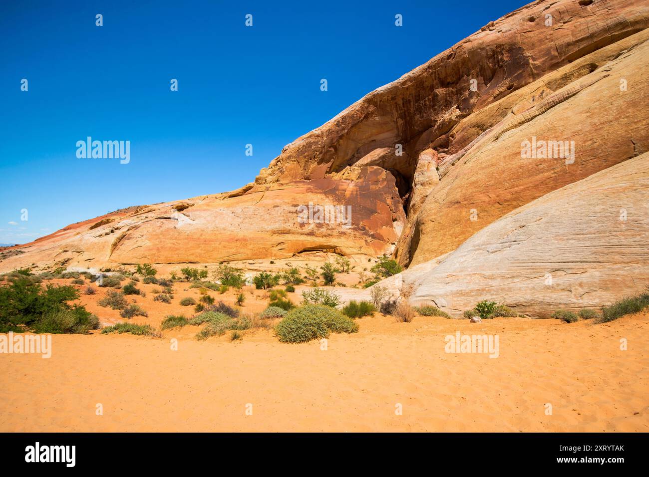 White Domes Loop Trail, Valley of Fire State Park, Mojave Desert, Nevada Foto Stock