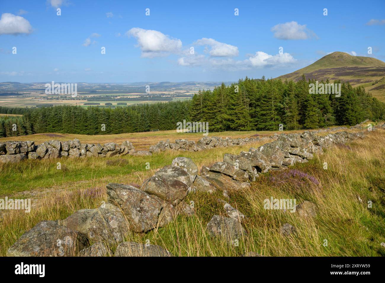 Vista di East Lomond, Falkland, Fife, Scozia, Regno Unito. Foto Stock