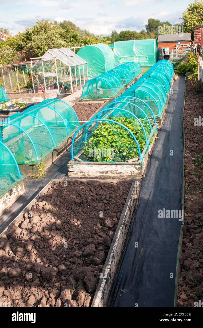 Rete verde adatta a cannule su letti rialzati per proteggere verdure e colture in estate da insetti scoiattoli piccioni e altri parassiti Foto Stock