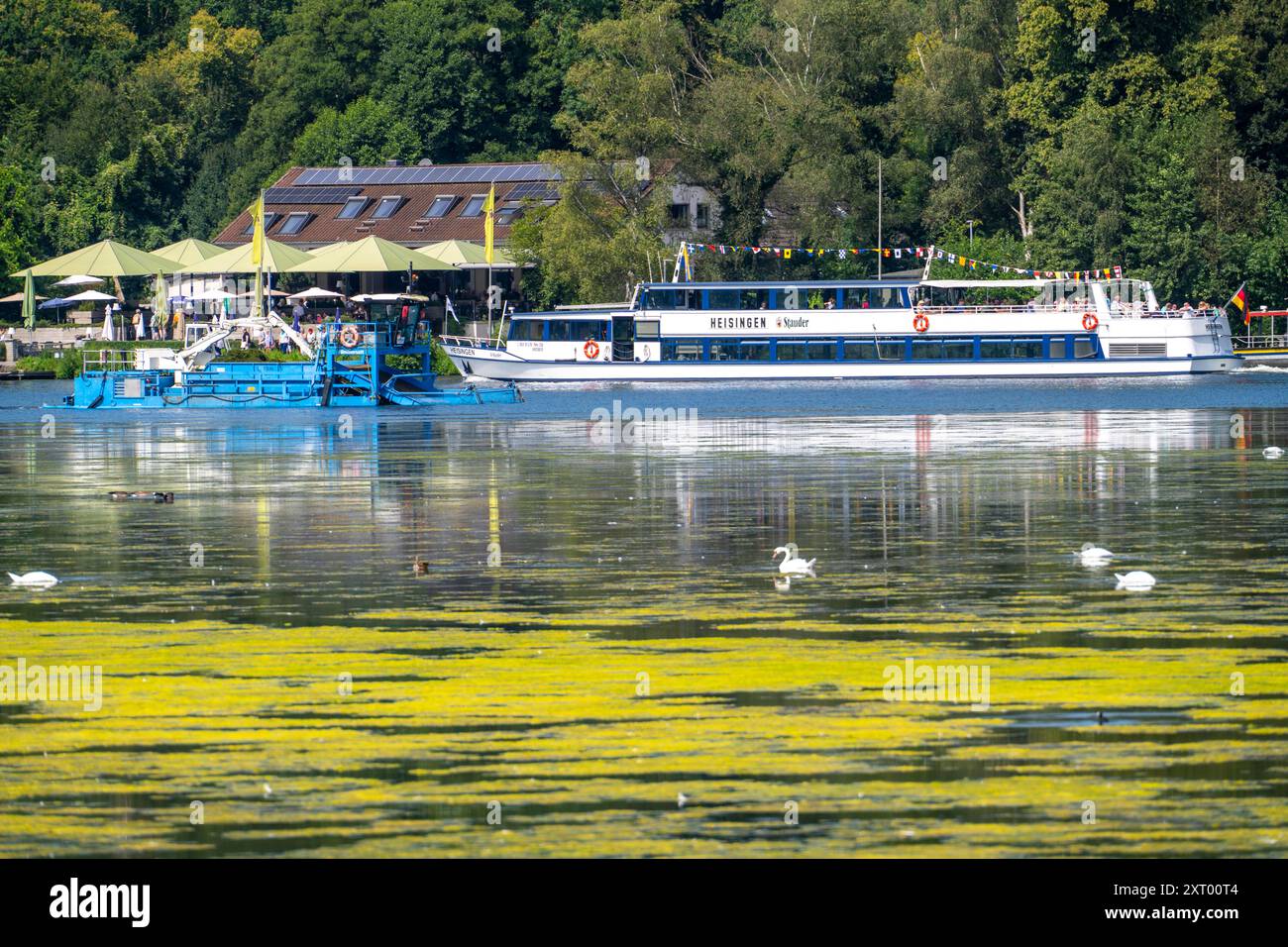 Il motofalciatore Nimmersatt, della Ruhrverband, il battello escursionistico della Weiße flotte, Heisingen, cerca di mantenere il tappeto verde sul Baldeneysee Foto Stock