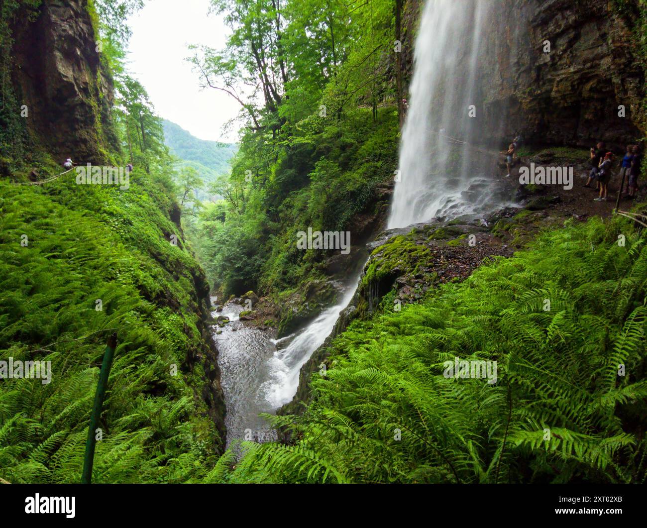Cascata il Gigante o Velikan in Abkhazia, grande primavera in montagna in estate, punto di riferimento naturale. Concetto di foresta, acqua, natura, paesaggio, viaggio Foto Stock