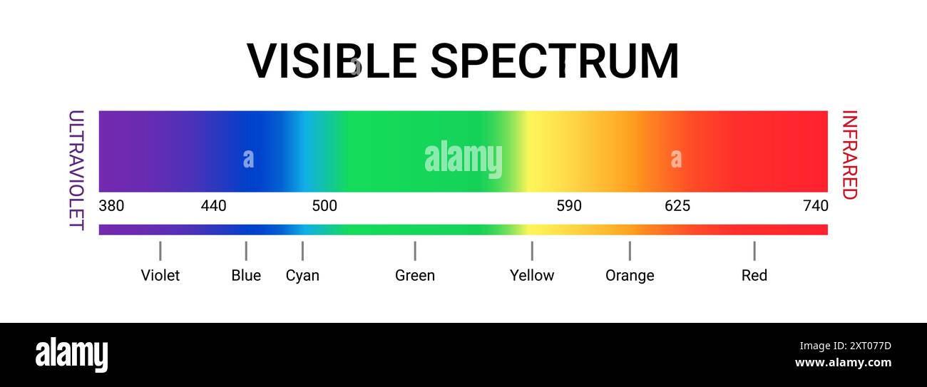 Illustrazione del vettore gamma uv della lunghezza d'onda del colore dello spettro visibile. Diagramma scientifico dello spettro luminoso visibile. Illustrazione Vettoriale