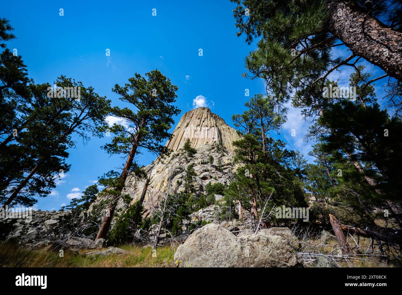 Devils Tower, Wyoming Loop Foto Stock