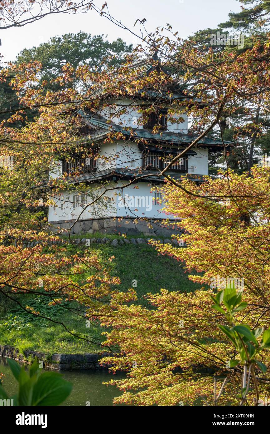 Torretta Tatsumi al castello di Hirosaki e giardini durante il Festival della fioritura dei ciliegi del 2024. Foto Stock