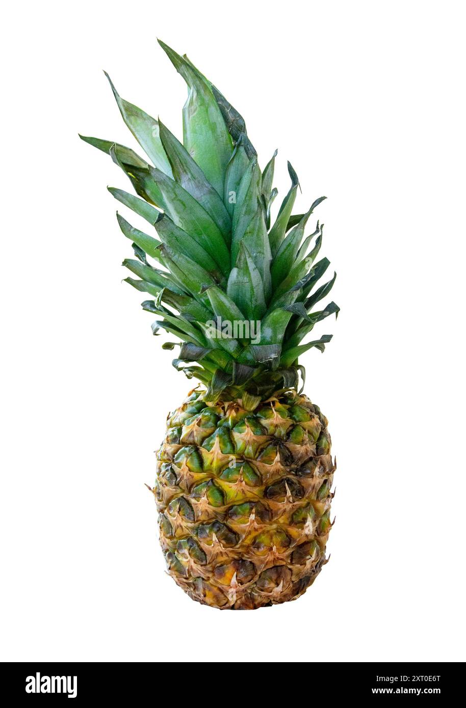 Ananas su sfondo bianco Foto Stock