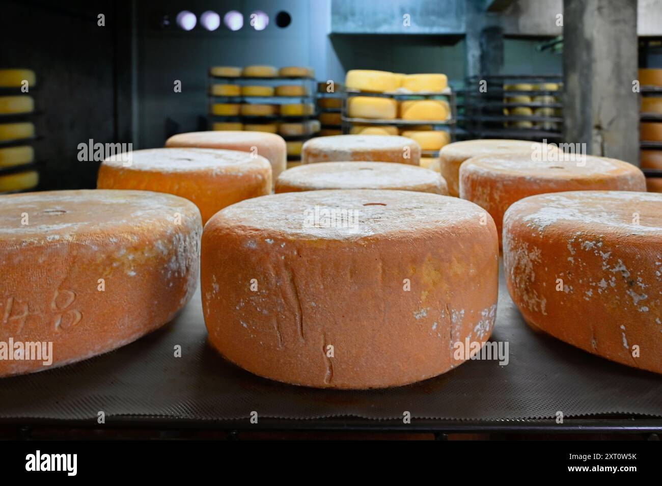 Nel "saloir" di Fabrèges nei Pirenei del Béarn, il formaggio di capra di montagna è maturo. Artouste, Francia Foto Stock