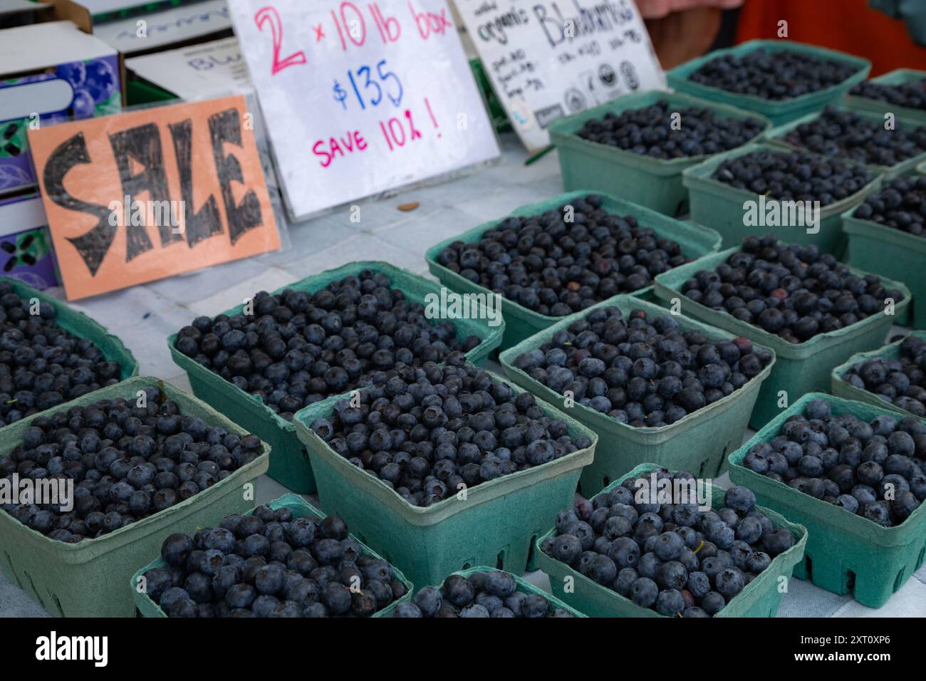 Saldi! Primo piano di un campione di contenitori compostabili di mirtilli biologici appena raccolti al Trout Lake Farmer's Market, British Columbia Foto Stock