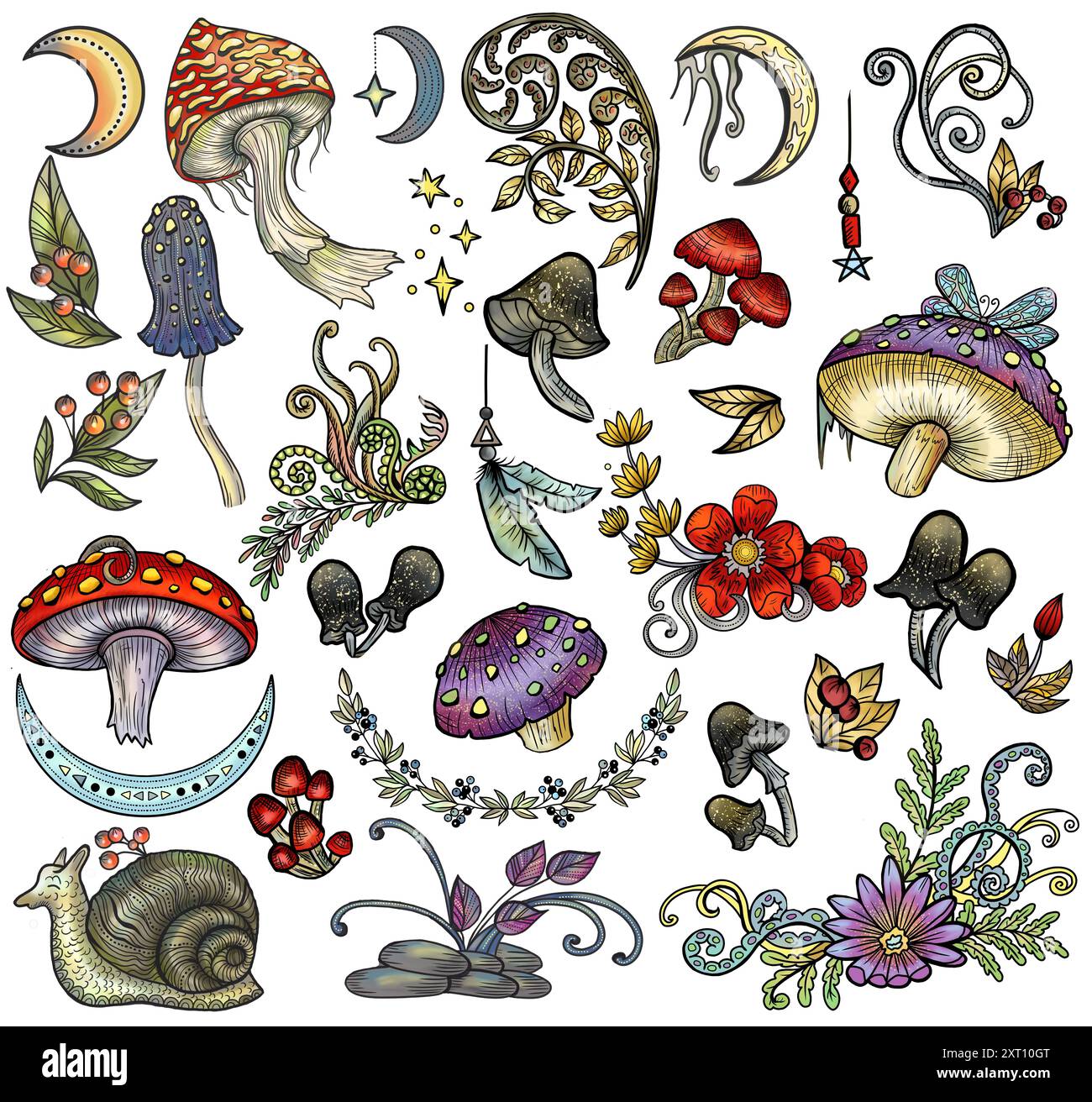 Crea un set grafico con funghi mistici, elementi decorativi magici e floreali, simboli di stregoneria isolati sul bianco. carto esoterico e strepitoso Foto Stock