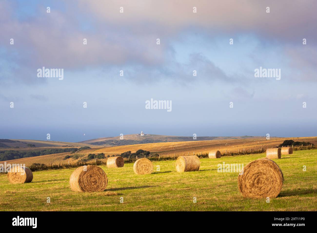 August balle di fieno su Warren Hill con il faro di Belle Tout sullo sfondo a sud, a est del Sussex, Inghilterra sud-orientale, Regno Unito Foto Stock