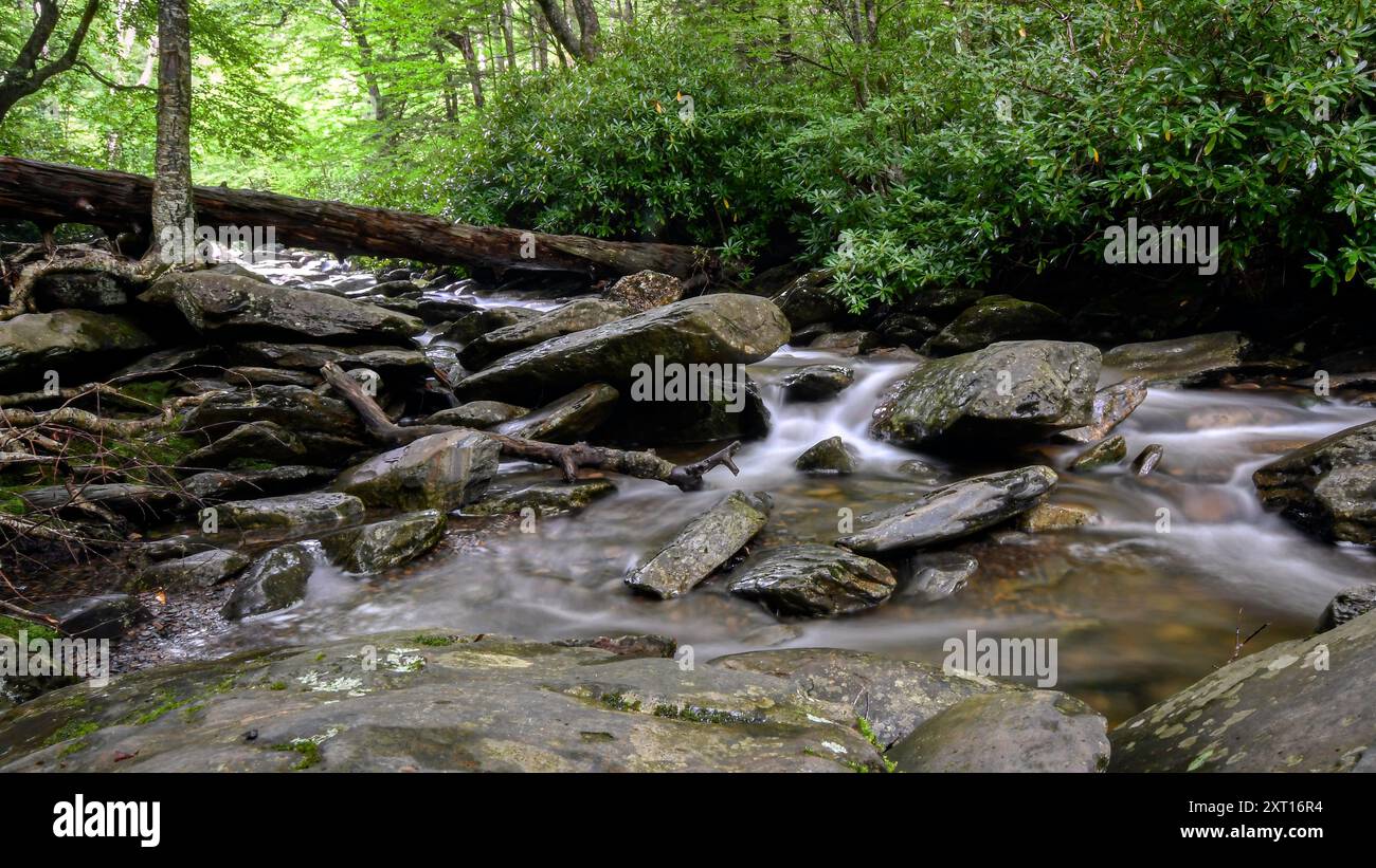 Splendido paesaggio di un ruscello di montagna che scorre sulle rocce delle Smoky Mountains. Foto Stock