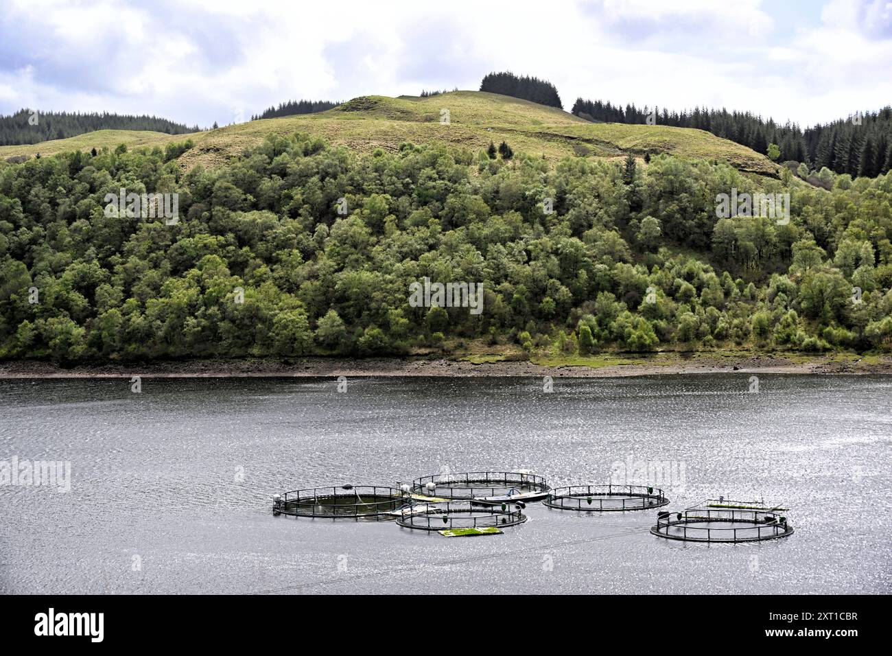 Penne per l'allevamento di pesci a Loch Tralaig, Argyll e Bute, Scozia Foto Stock