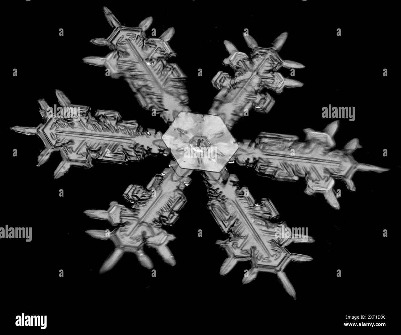 Un delicato fiocco di neve con motivi intricati si distingue nettamente su uno sfondo scuro. Aurora, Colorado Stati Uniti peja00013 Copyright: XConnec Foto Stock