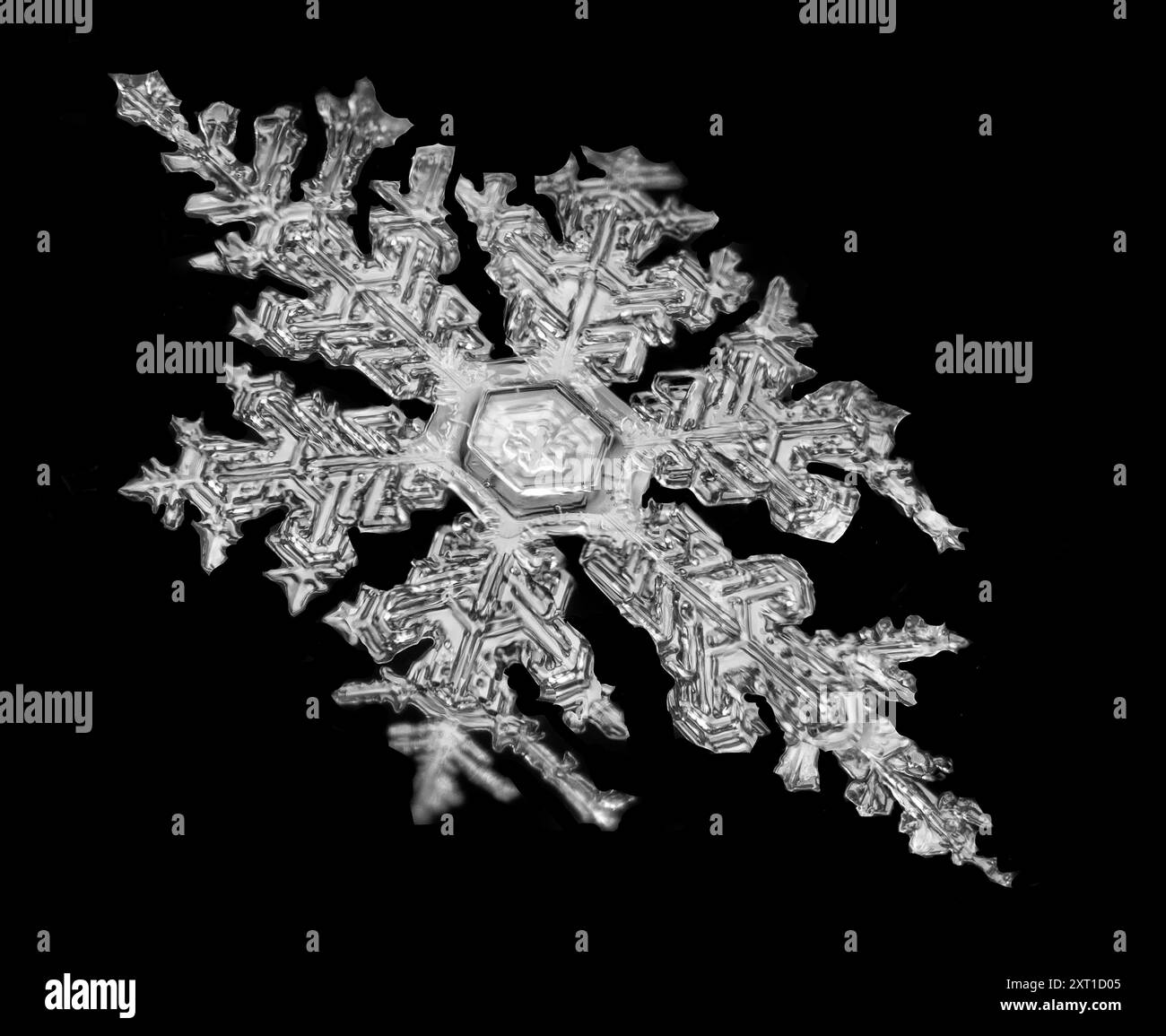 Primo piano di un singolo intricato fiocco di neve su sfondo nero. Aurora, Colorado Stati Uniti peja00024 Copyright: XConnectxImagesx Foto Stock