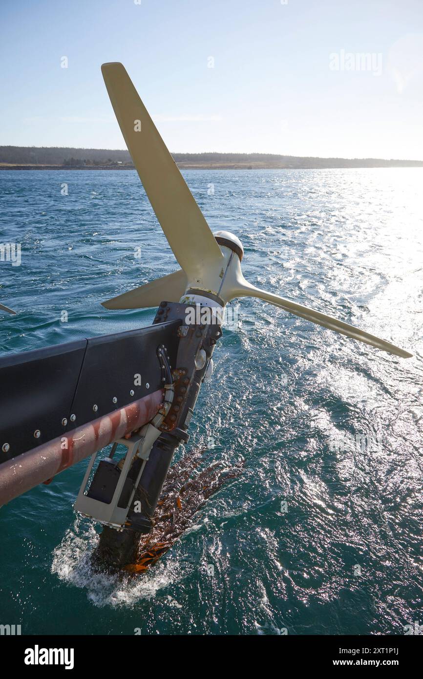 Davidgoldmanphoto Freeport nuova Scozia Canada goda00005 Copyright: XConnectxImagesx Foto Stock