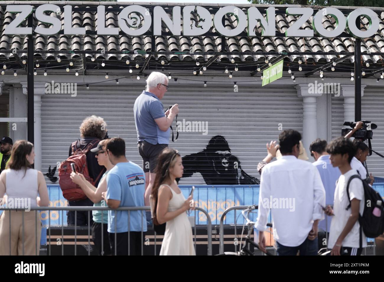 La nuova opera d'arte svelata da Banksy allo Zoo di Londra, raffigurante un gorilla che solleva un otturatore all'ingresso consentendo a un certo numero di uccelli di fuggire, mentre gli occhi di altri animali possono essere visti in agguato nell'oscurità, la nona opera d'arte della sua collezione a tema animale. Data foto: Martedì 13 agosto 2024. Foto Stock