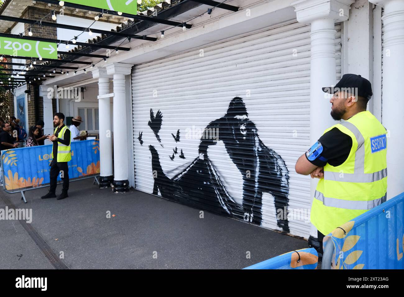 ZSL London Zoo, Londra, Regno Unito. 13 agosto 2024. Un gorilla dell'artista Banksy allo ZSL London Zoo. Crediti: Matthew Chattle/Alamy Live News Foto Stock