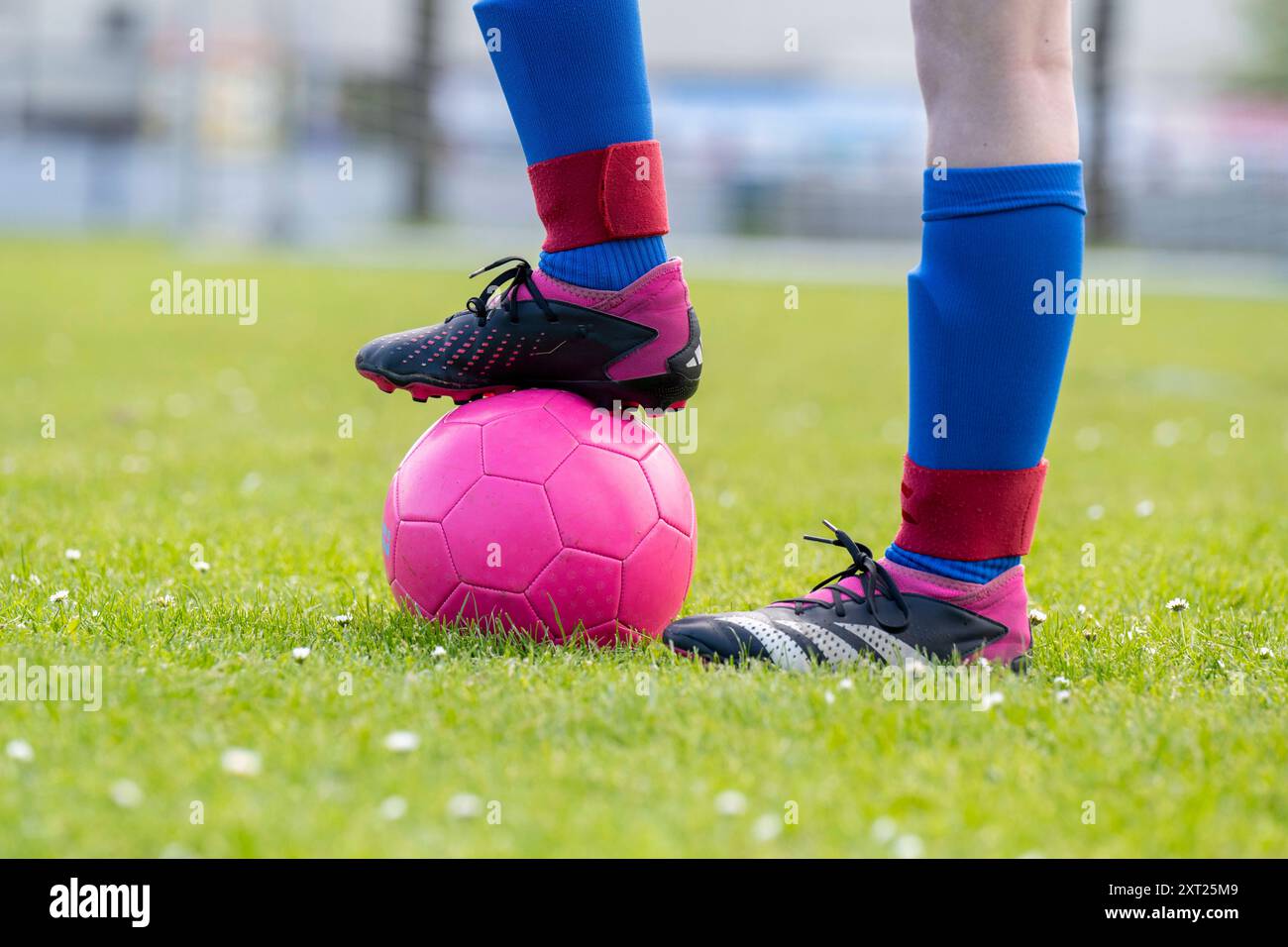 Primo piano dei piedi del giocatore di calcio con scarpe nere posizionate su una palla da calcio rosa con un campo di erba verde sullo sfondo. Panc06294 Copyright: XConn Foto Stock Primo piano dei piedi del giocatore di calcio con scarpe nere posizionate su una palla da calcio rosa con un campo di erba verde sullo sfondo. Panc06294 Copyright: XConn Foto Stock