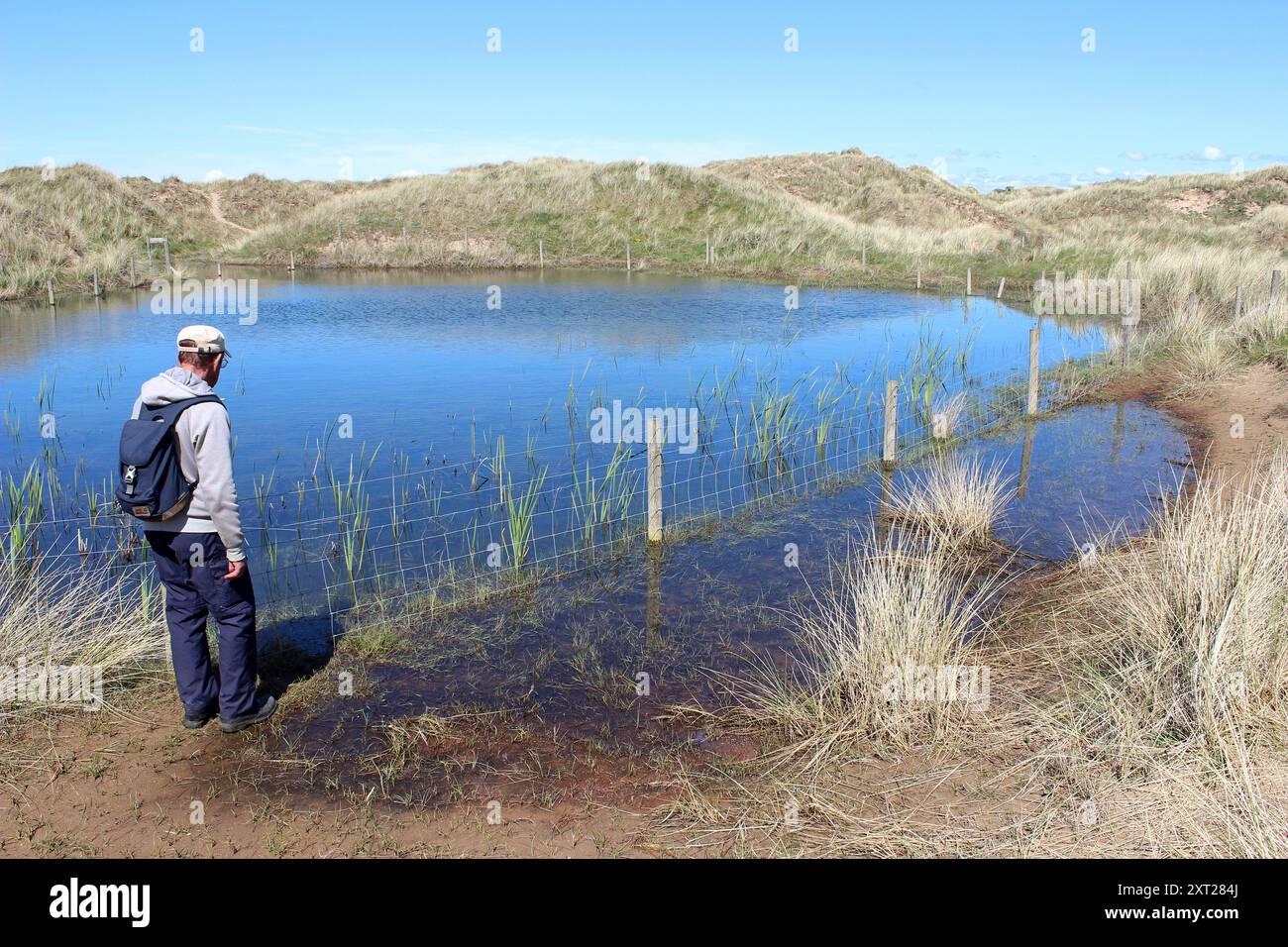 Dune Slack presso la riserva naturale di Ainsdale Dunes, Regno Unito Foto Stock