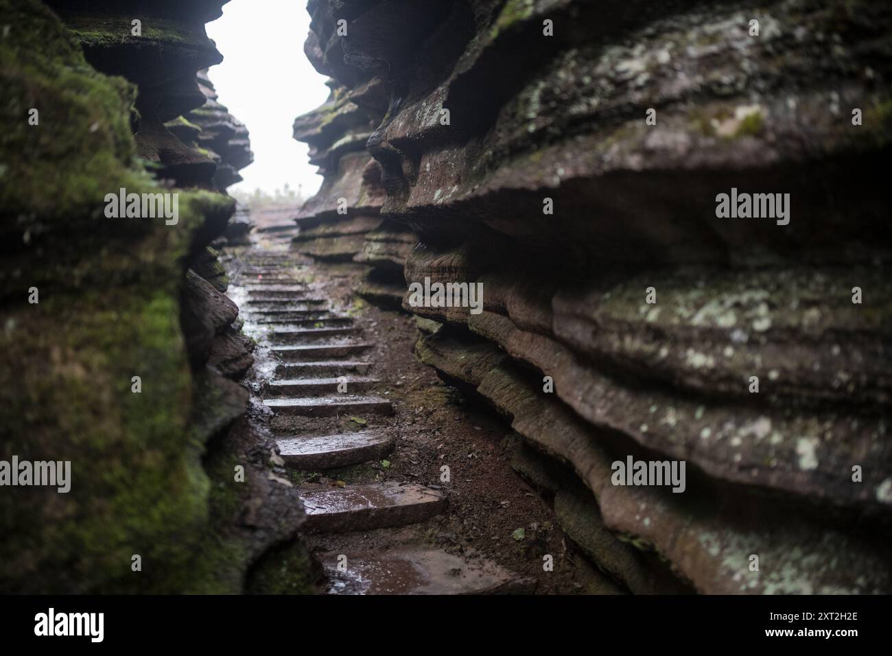 Stretto sentiero in pietra che si snoda attraverso formazioni rocciose che conducono verso l'alto in un ambiente naturale isolato Foto Stock