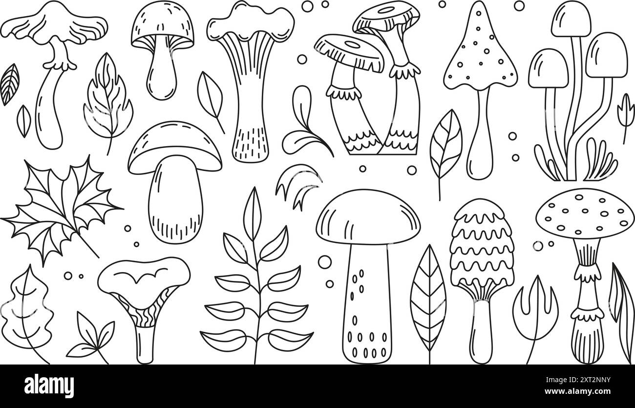 Funghi trafilati a mano. I funghi forestali lasciano elementi lineari. Oggetti per la stagione autunnale. Gli sgabelli di Toadstools volano un insieme di vettori neoterici piatti agarici Illustrazione Vettoriale